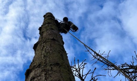 Abattage par démontage d’un sapin centenaire au-dessus d’une cuve de gaz et d’une évacuation d’eau