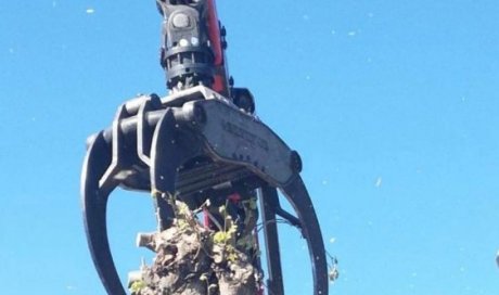 Abattage de gros arbres et évacuation du bois à l'aide d'une grue forestière chez particulier à Meximieux