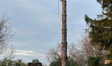 abattage par démontage d'un sapin chez un particulier à Ambérieu en Bugey 