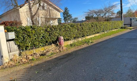 Taille de réduction d'une haie à la tronçonneuse chez un particulier à Ambérieu en Bugey