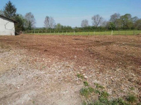 Abattage par démontage d'une parcelle avec rognage de la totalité des souches à Ambronay