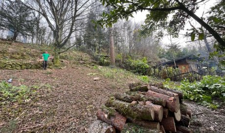 Nettoyage d’une parcelle de forêt chez un particulier à Serrières sur Ain  par Accro Paysage