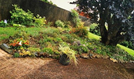 Entretien jardin de particulier Ambérieu-en-Bugey